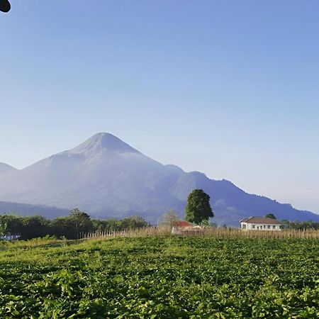 Avila Ketapan Rame Hotel Prigen ภายนอก รูปภาพ