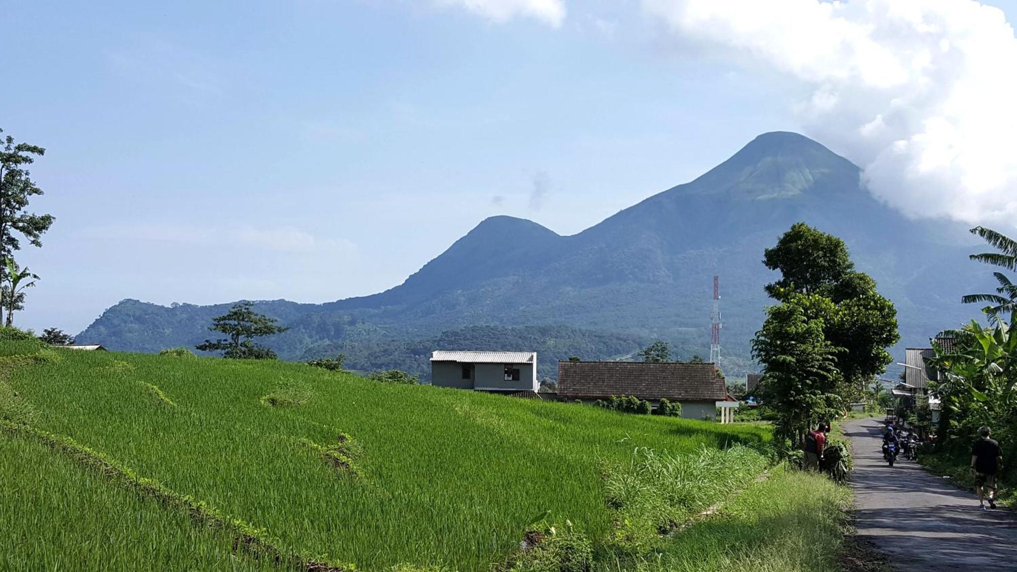 Avila Ketapan Rame Hotel Prigen ภายนอก รูปภาพ