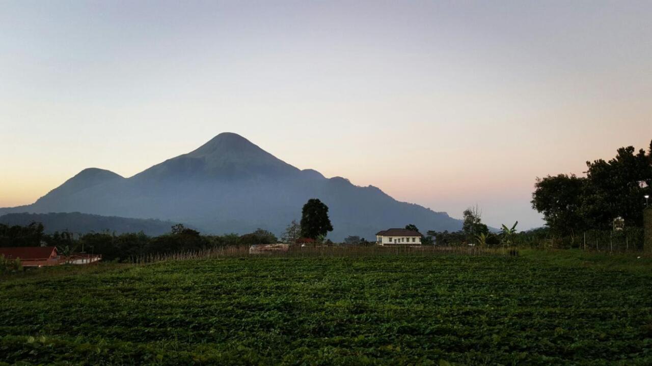 Avila Ketapan Rame Hotel Prigen ภายนอก รูปภาพ